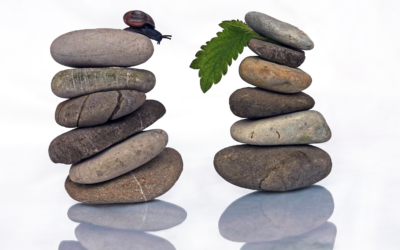 Removing Obstacles to Organisational Success